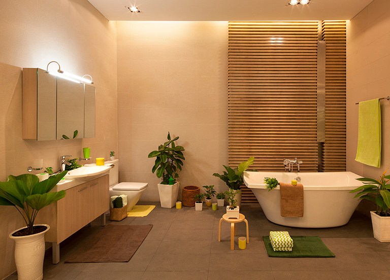 Trồng cây xanh trong phòng tắm vừa đẹp vừa hợp phong thủy